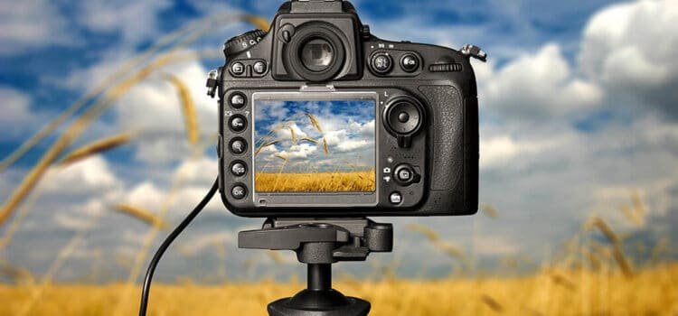 Understanding Camera Specs: A Beginner’s Guide to ISO, Aperture, and Shutter Speed