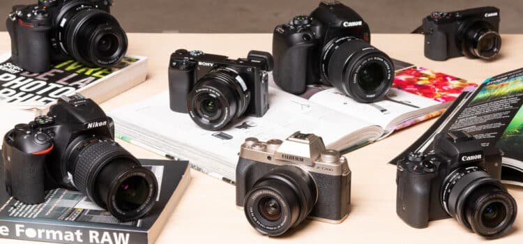 Best Budget Cameras for Beginners in the U.S. (2025 Update)