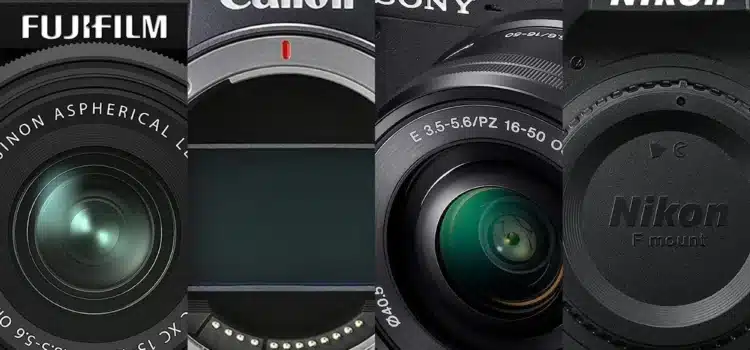 Best Beginner Cameras Under $1000 (2026 Edition) 