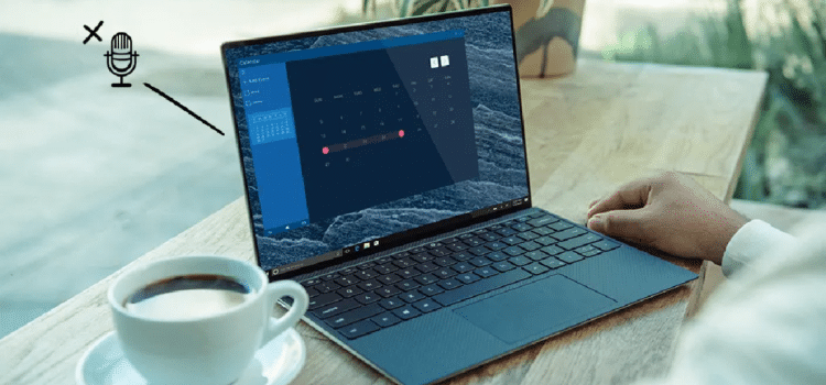 Microphone Not Working on Laptop or Phone 