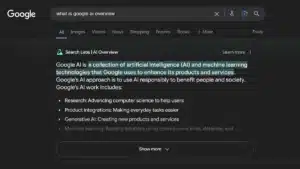 Why Users Are Turning Off AI Results in Google Search