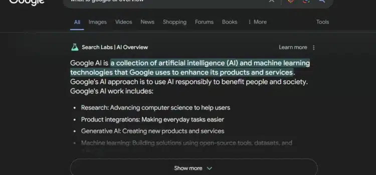 Why Users Are Turning Off AI Results in Google Search
