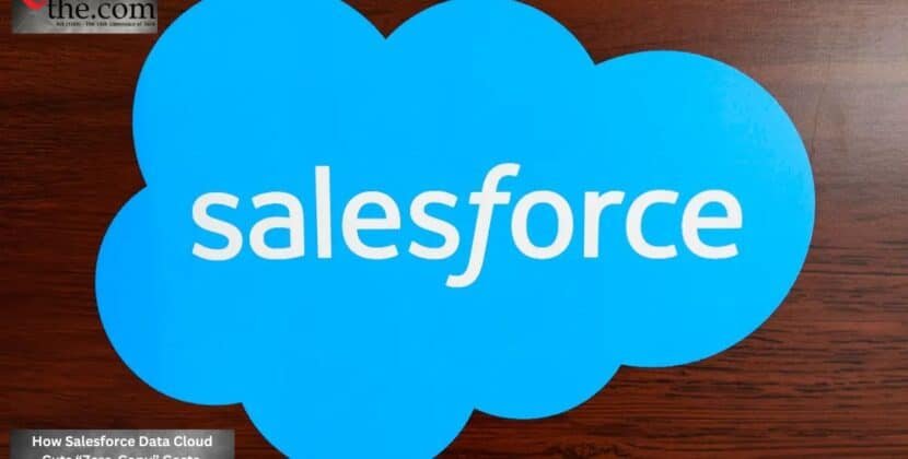 How Salesforce Data Cloud Cuts “Zero-Copy” Costs