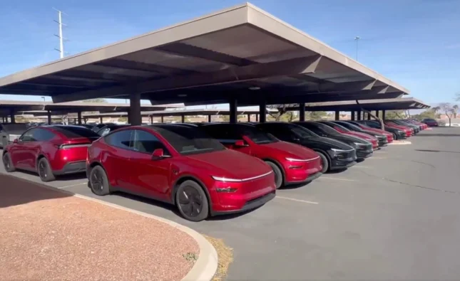 Tesla Robotaxi Austin Drives New FSD Revenue Growth in Texas 