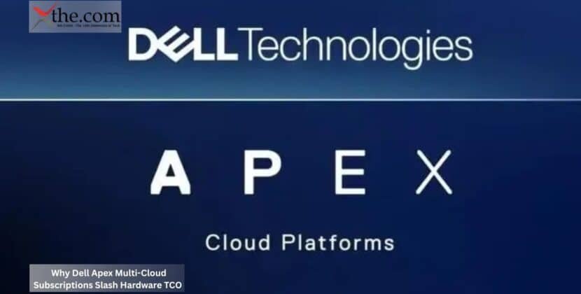Why Dell Apex Multi-Cloud Subscriptions Slash Hardware TCO