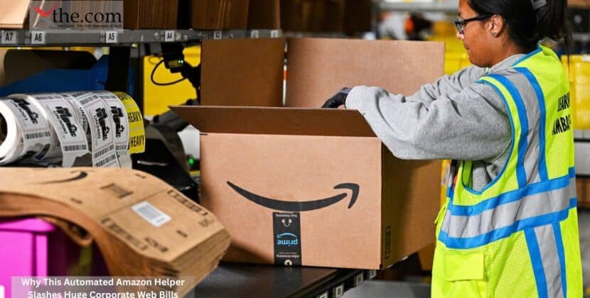 Why This Automated Amazon Helper Slashes Huge Corporate Web Bills